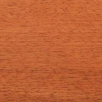 Cedar